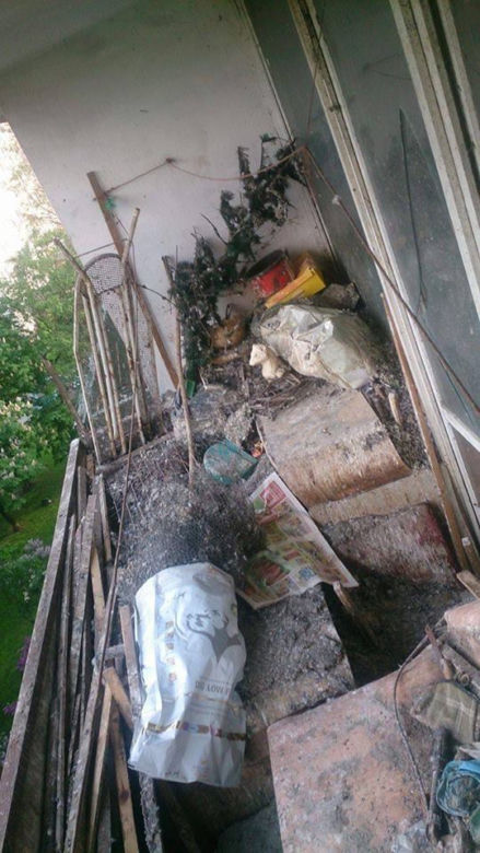 Przerażające odkrycie w Krakowie: Padłe gołębie i metrowa warstwa ptasich odchodów na balkonie [AUDIO, ZDJĘCIA]