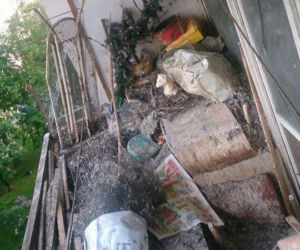 Przerażające odkrycie w Krakowie: Padłe gołębie i metrowa warstwa ptasich odchodów na balkonie [AUDIO, ZDJĘCIA]