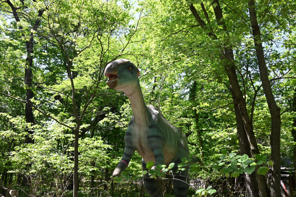 Dinozaury w Brookfield Zoo Chicago