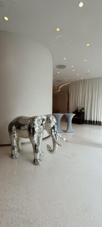 Hotel polskiej kadry przed meczem