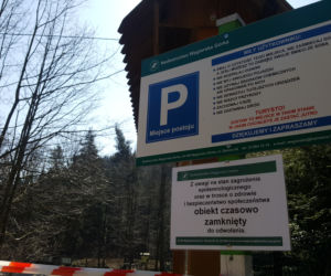 Ograniczenia w lasach. Parkingi i punkty postoju niedostępne dla turystów