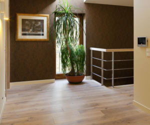 Dom z elewacją z klinkieru
