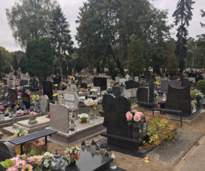 Tak przedłużysz świeżość kwiatów na cmentarzu. Wiele osób pomija ten etap