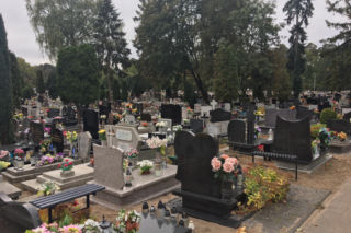 Tak przedłużysz świeżość kwiatów na cmentarzu. Wiele osób pomija ten etap