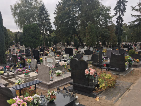 Kwiaty na cmentarz postoją dłużej dzięki prostemu zabiegowi. Wielu z nas o tym zapomina