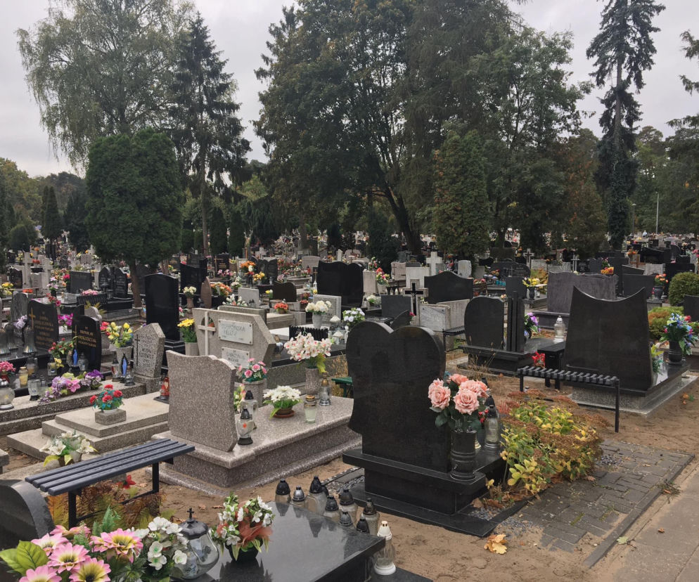 Tak przedłużysz świeżość kwiatów na cmentarzu. Wiele osób pomija ten etap