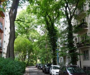 Uliczka Glogera obecnie. Lato 2026