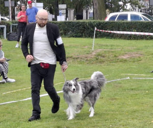 Psie piękności królują w Kaliszu