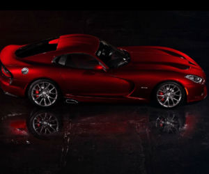 NOWY Viper 2013