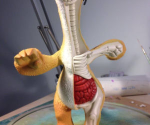 anatomia zabawek wg. jasona freeneya