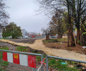 Był dziki parking, bedzie zielony skwer