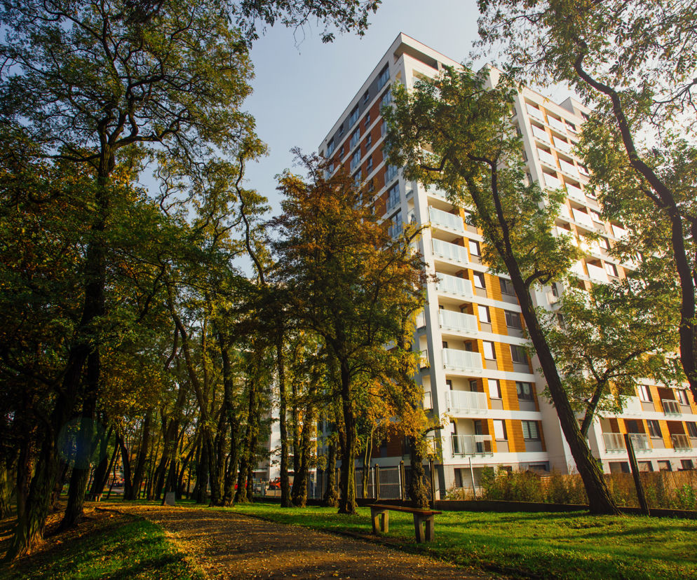 Przewodnik po MdM: 10 kroków jak przygotować się do wyścigu po ostatnie dopłaty z programu
