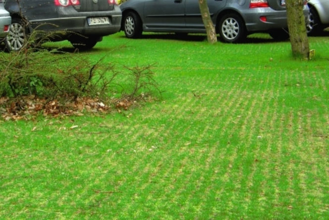 Ekologiczne nawierzchnie w ogrodzie