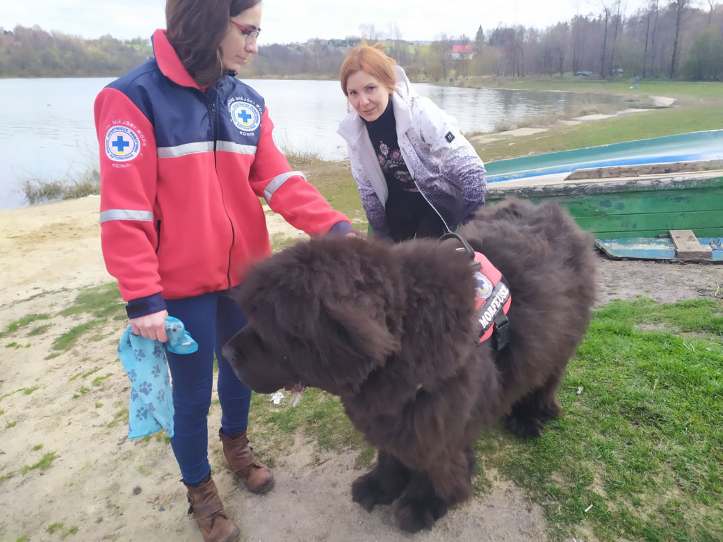 psy ratownicy WPR Żywiec