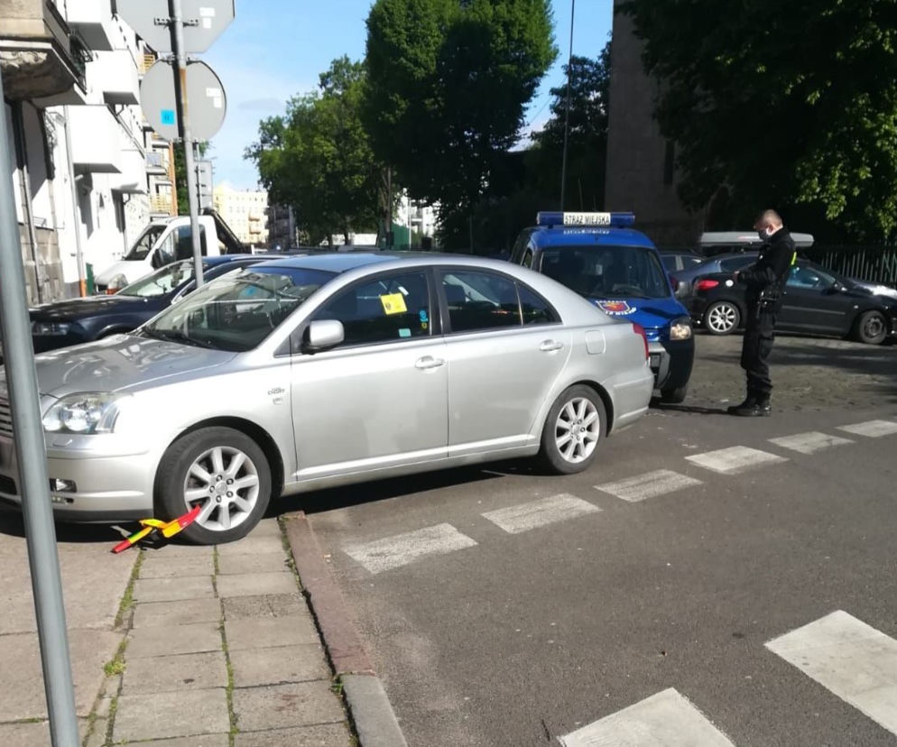 Szczecińscy mistrzowie parkowania wracają do normalności