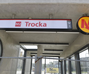 Pomidorek wyrósł w metrze