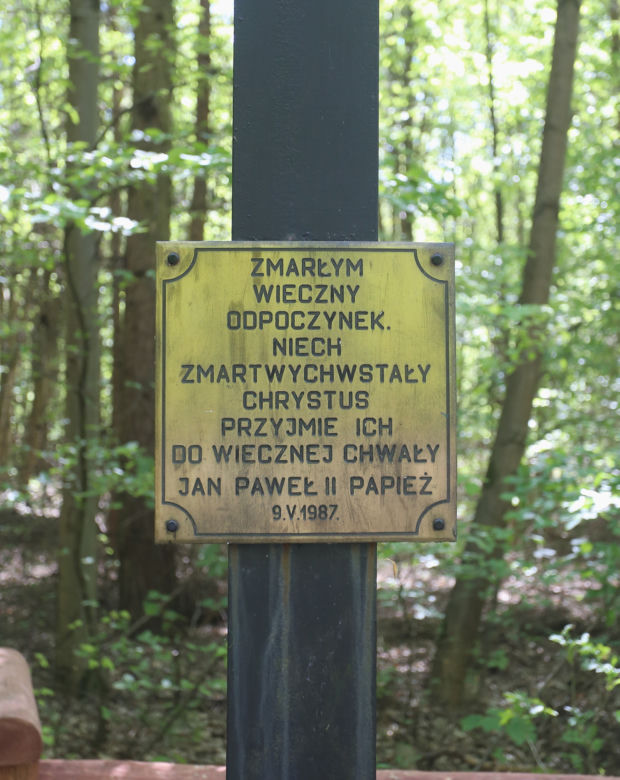 Katastrofa samolotu w Lesie Kabackim. Zginęły 183 osoby. „Dobranoc, do widzenia! Cześć, giniemy!”