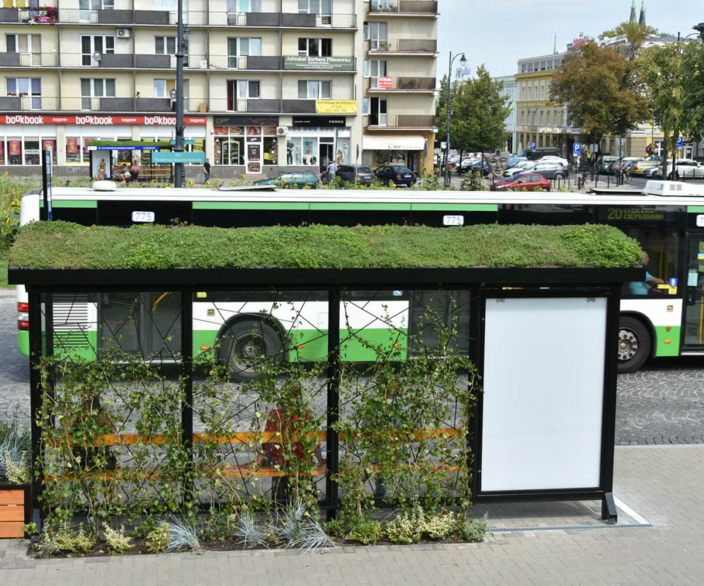 Rozkład jazdy autobusów w Białymstoku. Zmiany od 21 listopada