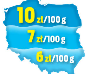 Dorsz najdroższy nad morzem