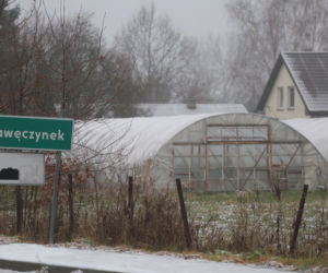 Znaleźli ją nieprzytomną i całą pociętą. Zrobił jej to własny syn? 