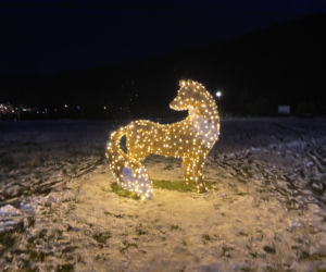 Świąteczne iluminacje w Muszynie