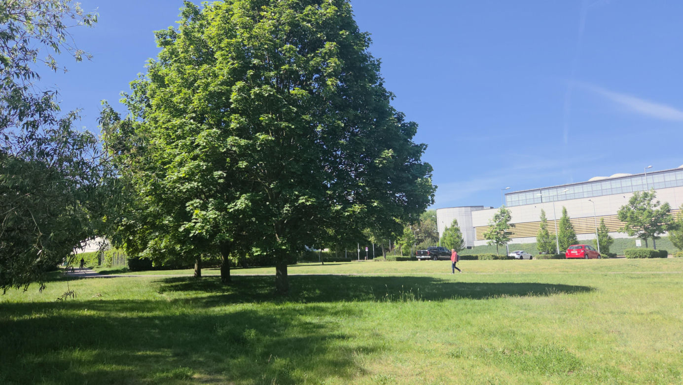 Tutaj w Bydgoszczy powstanie miejskie kąpielisko. Drewniane pomosty, trawiasta plaża i dużo zieleni