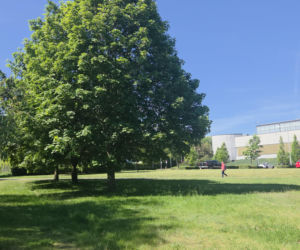 Tutaj w Bydgoszczy powstanie miejskie kąpielisko. Drewniane pomosty, trawiasta plaża i dużo zieleni