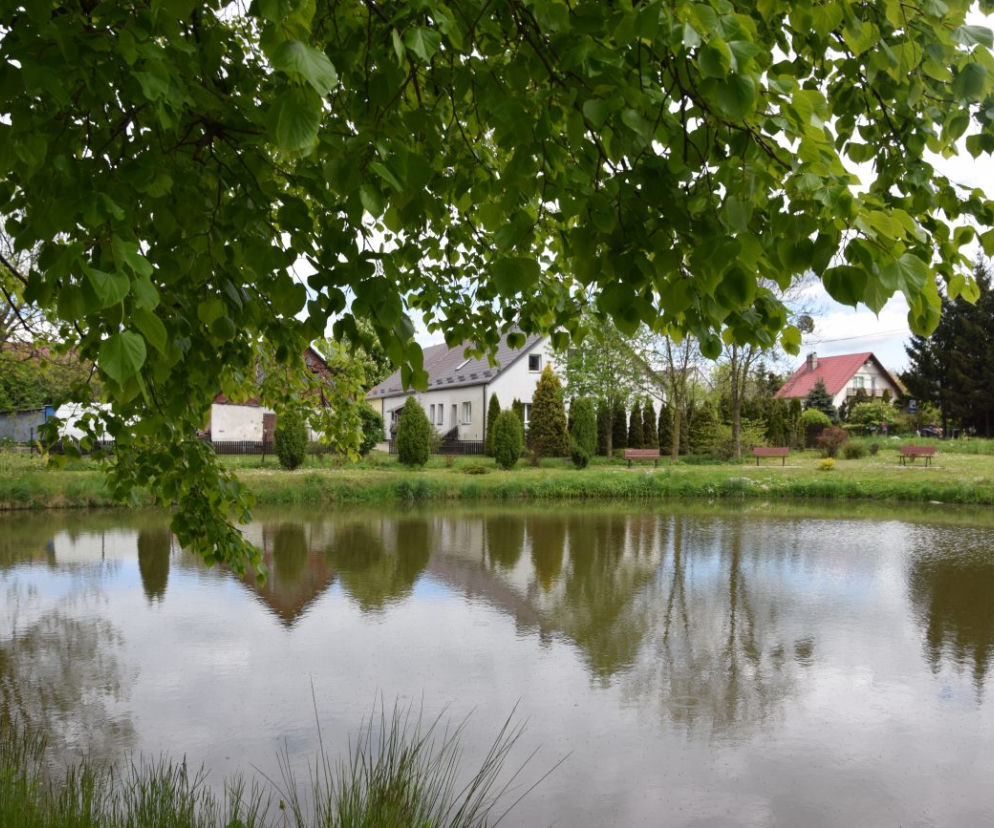 nowa wies
