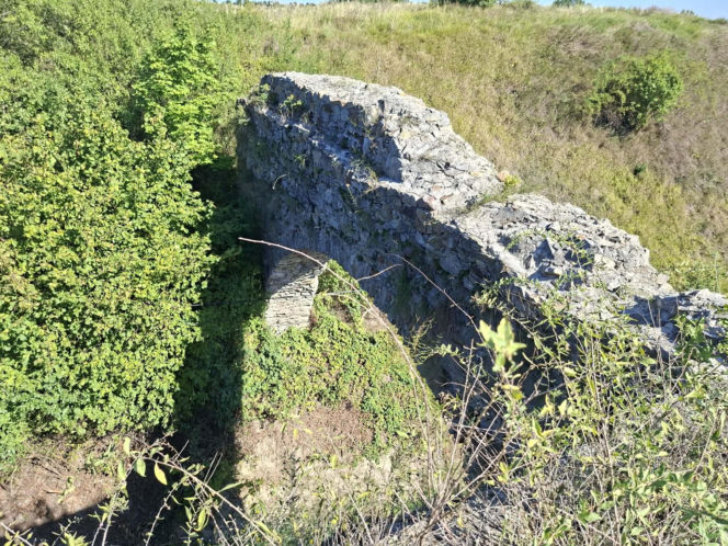 Ossolin