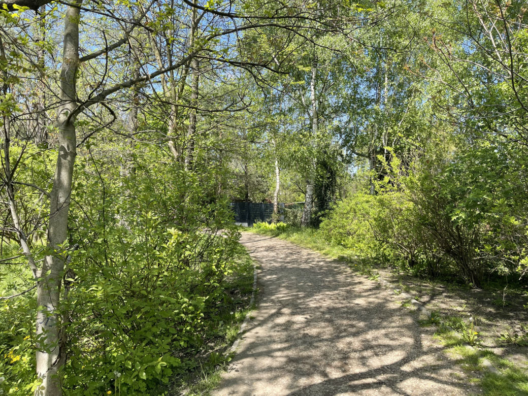 Kraków ma najdłuższy park w Polsce. Poznajcie Młynówkę Królewską! 