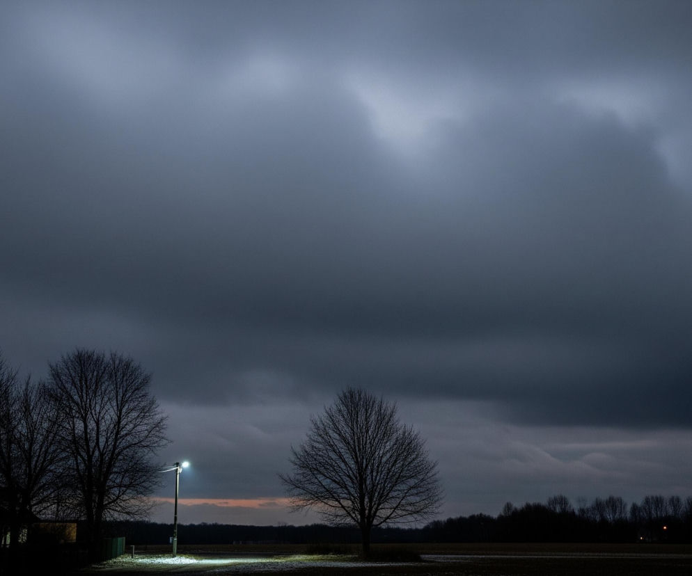 Rozświetlona latarnia uliczna stoi na pierwszym planie, jej białe światło pada na niewielki fragment zaśnieżonej ziemi. Po lewej stronie latarni widoczne są sylwetki nagich drzew i fragment dachu budynku, wszystko pogrążone w ciemności. Po prawej, w oddali, rozciąga się rzędy nagich drzew, a za nimi ciemny, ponury las. Horyzont pod zasnutym chmurami niebem przybiera lekko pomarańczowy odcień.