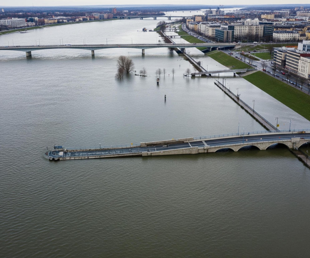 Obszerny akwen wodny zajmuje centralną i dolną część kadru, z wyraźnymi falami na powierzchni. W tle rozciąga się miejski krajobraz z licznymi budynkami, a rzeka jest przecinana przez kilka mostów. Po prawej stronie widać fragment lądu z zieloną trawą, zalany częściowo przez wodę, z nadbrzeżnymi promenadami i drogami, na których poruszają się samochody. W wodzie, w centralnej części zdjęcia, wystają kępy drzew pozbawionych liści, otoczone zalanymi fragmentami terenu i wystającymi słupami.