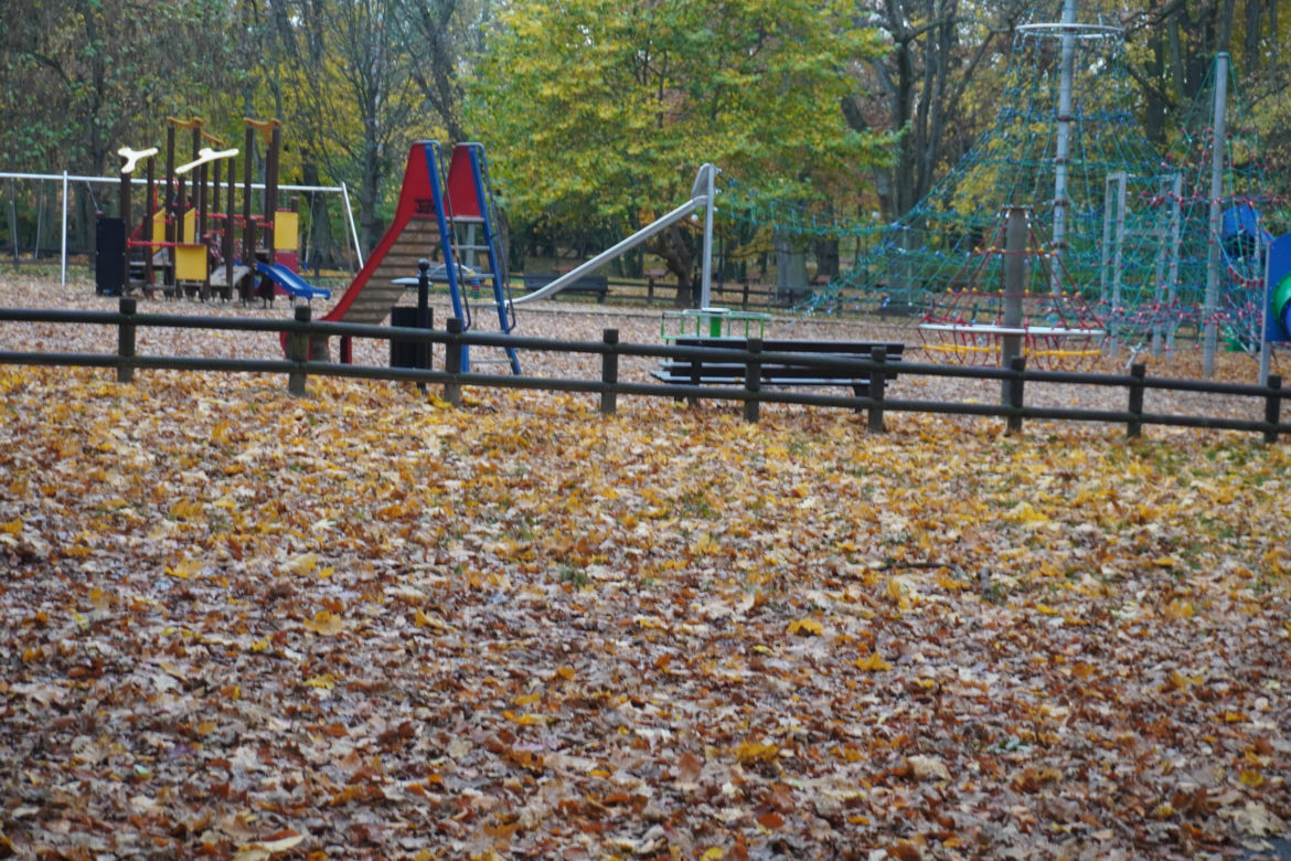 Park Sołacki w Poznaniu jesienią