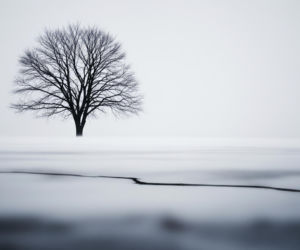 Śmiertelny kulig w Grzebowilku. Co doprowadziło do tragedii 25-latka?