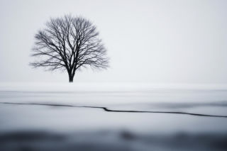 Śmiertelny kulig w Grzebowilku. Co doprowadziło do tragedii 25-latka?