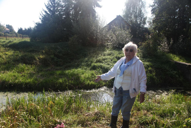 Dziki rów dzieli działkę, a urzędnicy rozkładają ręce. Seniorka drży, że dom osunie się do wody