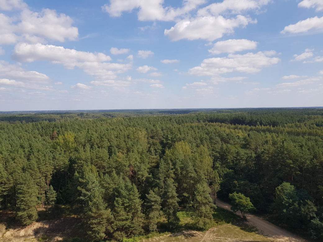 Wieża widokowa w Uhowie. To najwyższa wieża na Podlasiu [ZDJĘCIA]