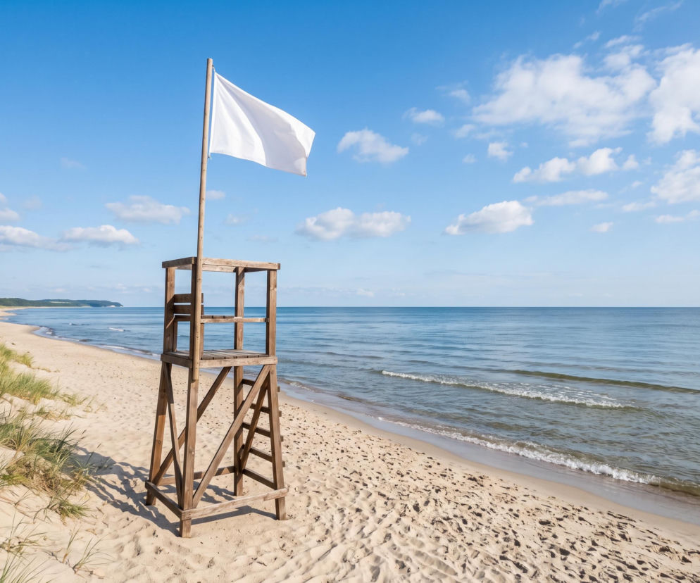 Sinice Jastrzębia Góra. Czy w Jastrzębiej Górze można się kąpać 15.07? Flaga, warunki pogodowe