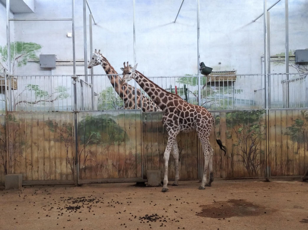 Ogród zoologiczny im. Stefana Milera w Zamościu