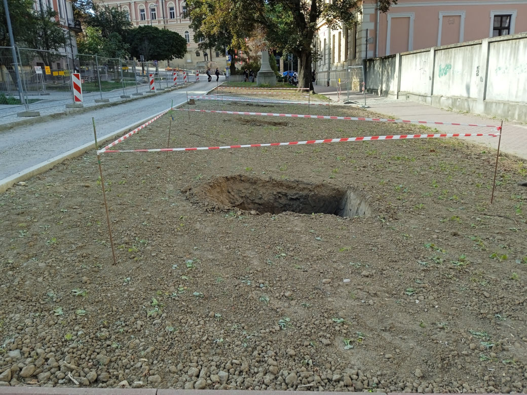Nasadzenia drzew przy ulicy Piłsudskiego