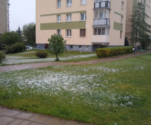 Białystok. W maju spadł śnieg