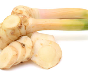 Galangal
