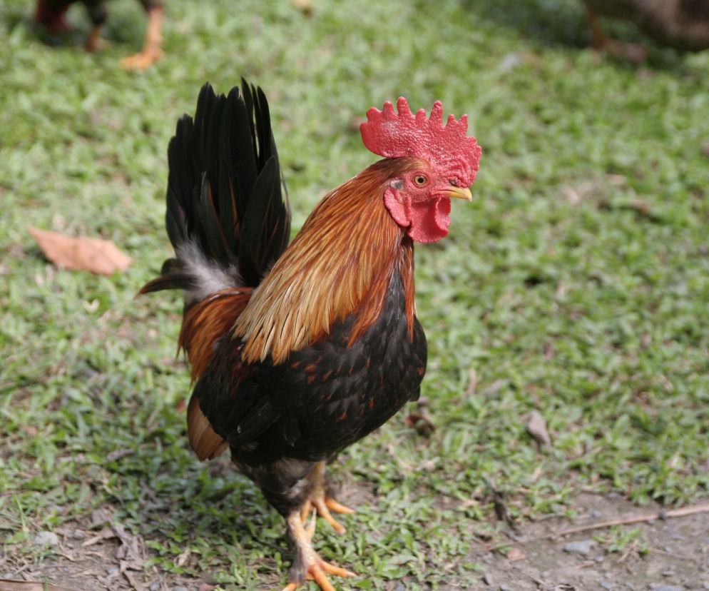 Agroturystyka