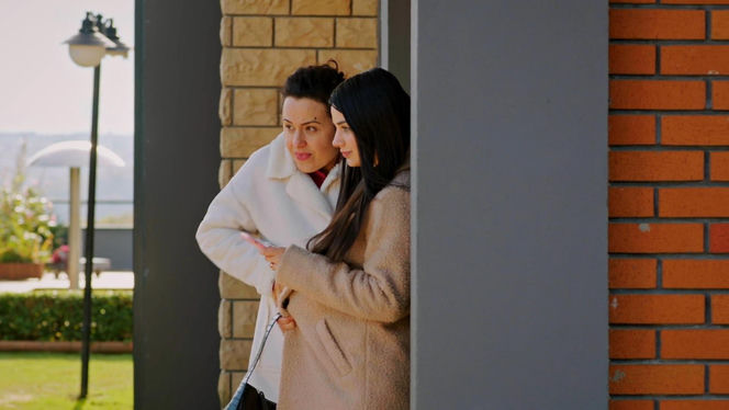 Miłość i nadzieja odc. 329. Bahar, Cavidan