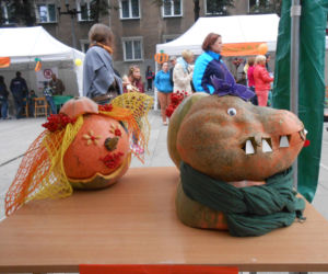 Żółte, pomarańczowe i zielone - za nami V festiwal Zaklęte w dyni.