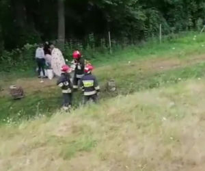 Jankowice Wielkie. Wypadek ukraińskiego autokaru na A4