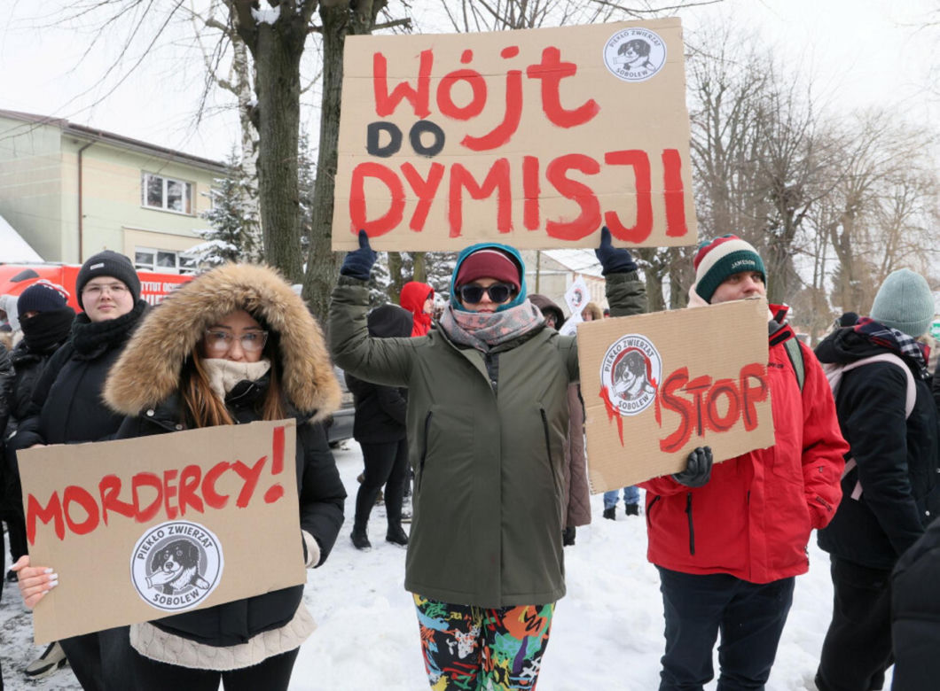 „Maszynka do mielenia mięsa i pałki z krwią”. Kulisy zamknięcia schroniska „Happy Dog”. Co dalej?