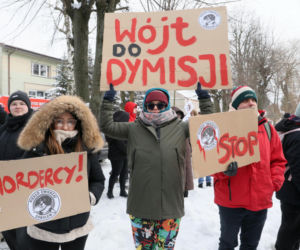 „Maszynka do mielenia mięsa i pałki z krwią”. Kulisy zamknięcia schroniska „Happy Dog”. Co dalej?