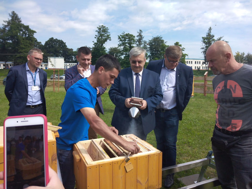 Pół miliona pszczół zamieszkało na terenie ujęcia wody MPWiK w Zwięczycy