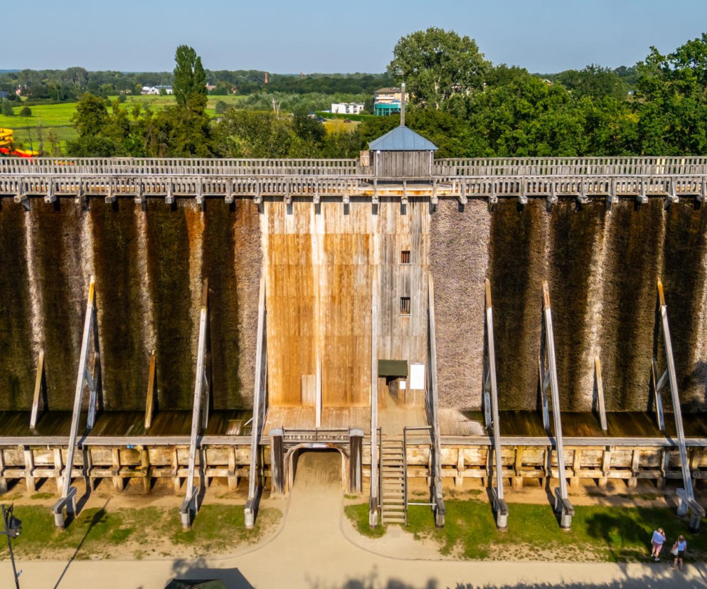 Drewniana tężnia solankowa z gałęziami tarniny z lotu ptaka. O badaniach nad bakteriami przeczytasz na Eska Kraków.